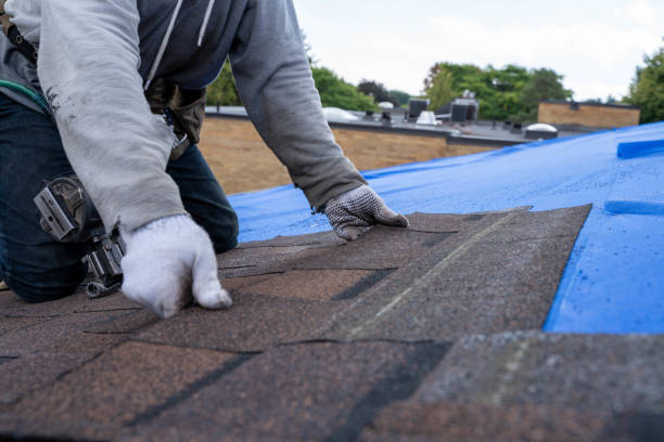 Roof Gutter Cleaning in Miami Gardens, FL